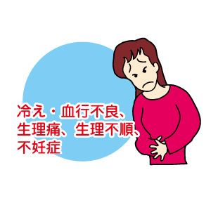 冷え・血行不良、生理痛、生理不順、不妊症